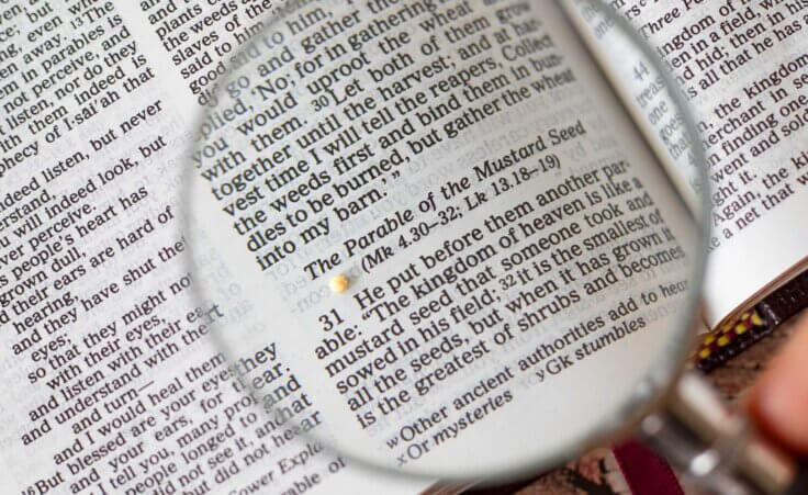 Close up of the parable of the mustard seed in the Bible with a magnifying glass. By Marinela/stock.adobe.com